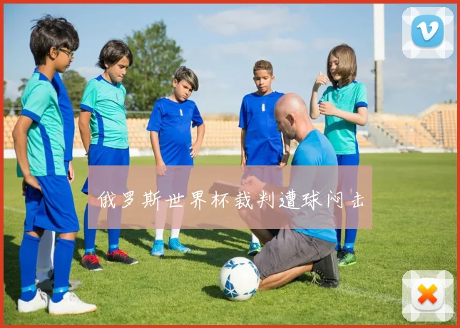 俄罗斯世界杯裁判遭球闷击