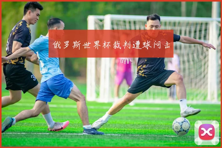 俄罗斯世界杯裁判遭球闷击