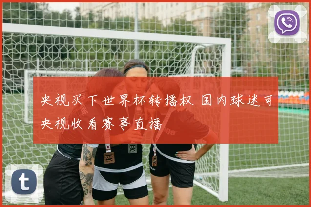 央视买下世界杯转播权 国内球迷可央视收看赛事直播